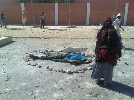 الجزائر و تصدير سلعة الذبح الى شمال افريقيا و دول الساحل